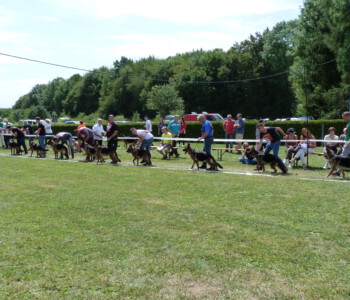 Foto: Stefan Lehnert