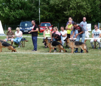 Foto: Stefan Lehnert