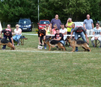 Foto: Stefan Lehnert