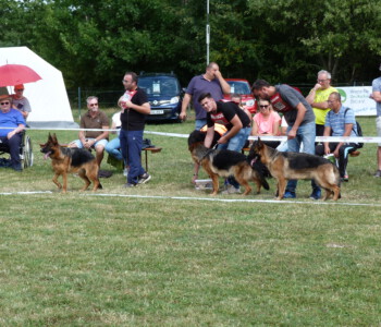 Foto: Stefan Lehnert