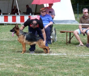 Foto: Stefan Lehnert