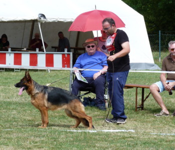 Foto: Stefan Lehnert