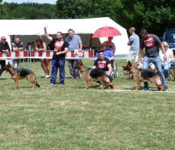 Foto: Stefan Lehnert