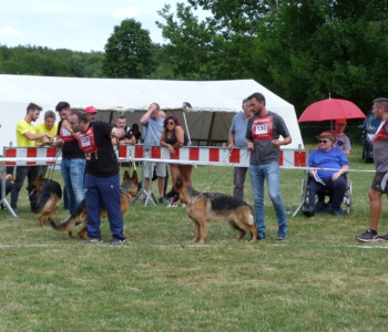 Foto: Stefan Lehnert