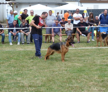 Foto: Stefan Lehnert