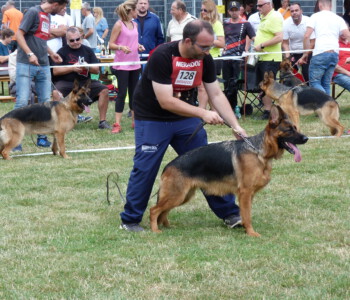 Foto: Stefan Lehnert