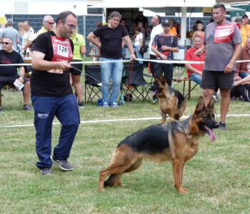 Foto: Stefan Lehnert