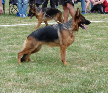 Foto: Stefan Lehnert