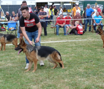 Foto: Stefan Lehnert