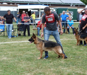 Foto: Stefan Lehnert