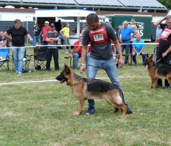 Foto: Stefan Lehnert