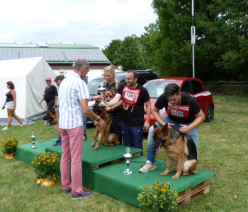 Foto: Stefan Lehnert