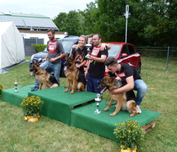 von links nach rechts SG 3 Omara du Val D'Anzin, SG 1 Samira vom Grafenwald, SG 2 Ulara von Regina Pacis