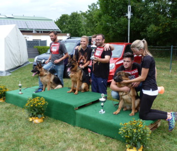 Foto: Stefan Lehnert