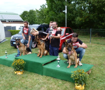 Foto: Stefan Lehnert