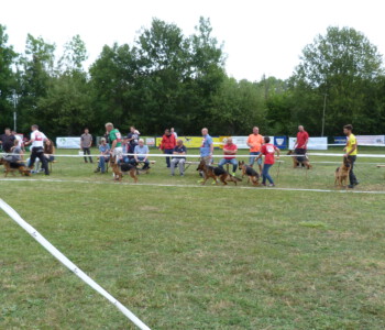 Foto: Stefan Lehnert