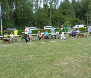 Foto: Stefan Lehnert