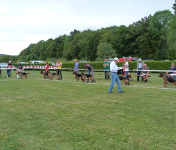 Foto: Stefan Lehnert