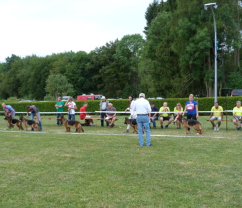 Foto: Stefan Lehnert