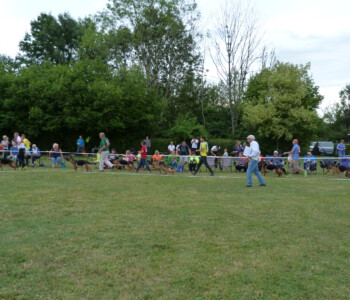 Foto: Stefan Lehnert