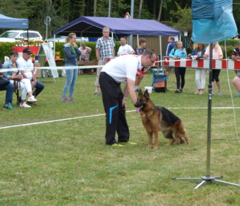 Foto: Stefan Lehnert