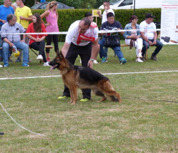 Foto: Stefan Lehnert