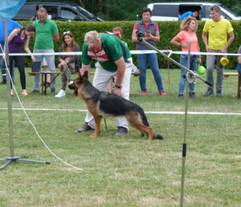 Foto: Stefan Lehnert