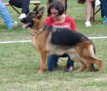 Foto: Stefan Lehnert