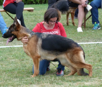 Foto: Stefan Lehnert