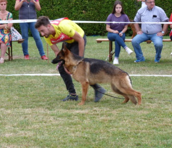 Foto: Stefan Lehnert