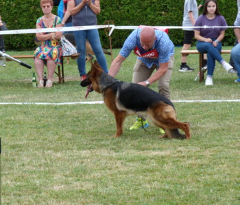 Foto: Stefan Lehnert