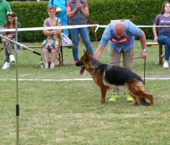 Foto: Stefan Lehnert