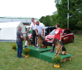 Foto: Stefan Lehnert