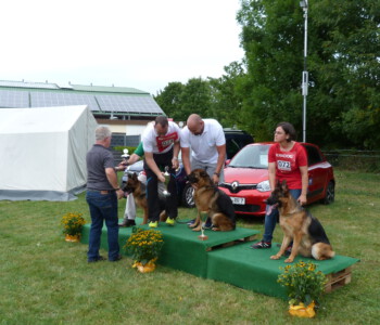 Foto: Stefan Lehnert