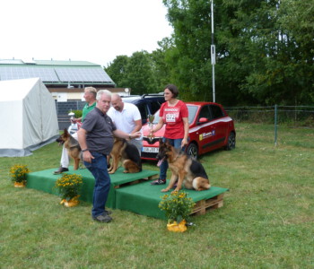 Foto: Stefan Lehnert