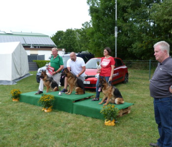 Foto: Stefan Lehnert