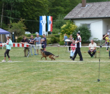 Foto: Stefan Lehnert