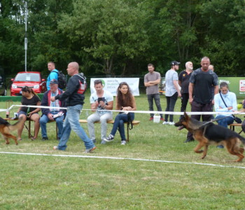 Foto: Stefan Lehnert