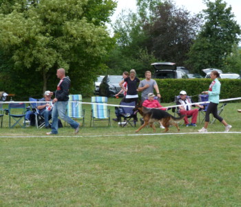 Foto: Stefan Lehnert