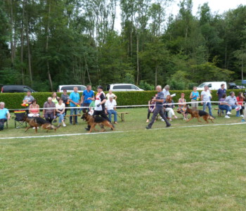 Foto: Stefan Lehnert