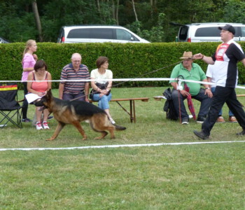 Foto: Stefan Lehnert