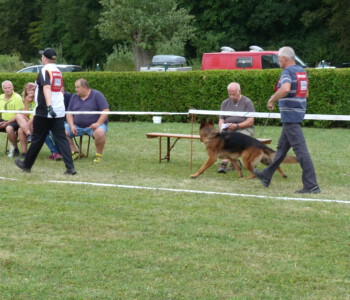 Foto: Stefan Lehnert