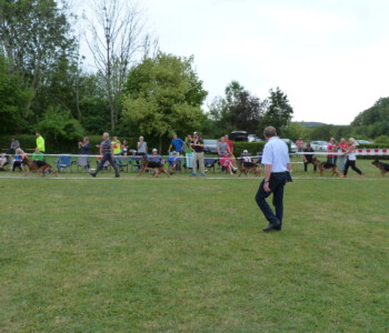 Foto: Stefan Lehnert