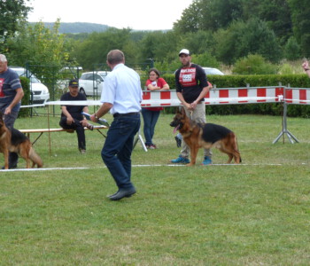 Foto: Stefan Lehnert