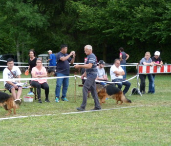 Foto: Stefan Lehnert