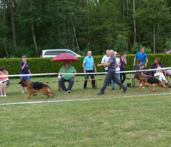 Foto: Stefan Lehnert