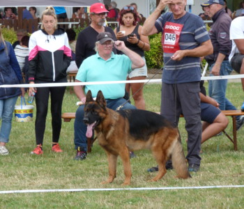 Foto: Stefan Lehnert