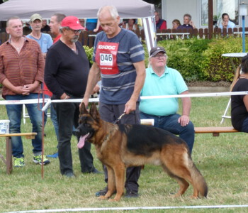 Foto: Stefan Lehnert