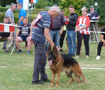 Foto: Stefan Lehnert