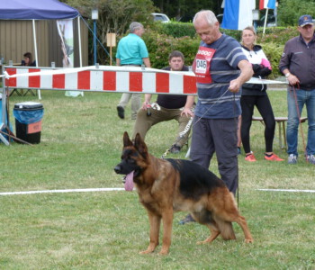 Foto: Stefan Lehnert